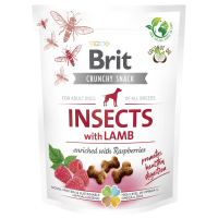 Лакомство Care Brit Crunchy Snack Insects для собак для пищеварения с насекомыми, ягненком и малиной