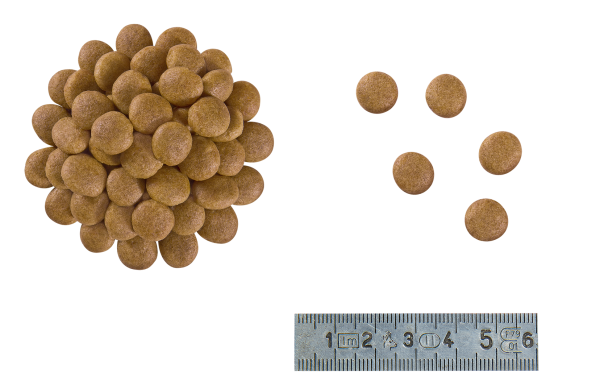 Сухой корм Royal Canin Польша Anallergenic для кошек с пищевой непереносимостью