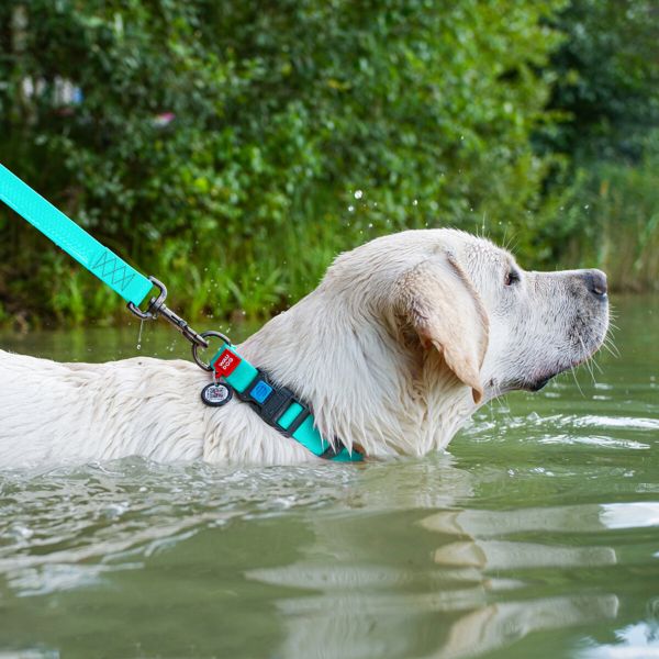 WAUDOG Украина Ошейник для собак водостойкий Waterproof c QR паспортом, светонакопительный, пластиковая пряжка-фастекс