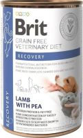 Влажный корм VetDiets Brit Grain Free Recovery для взрослых собак и кошек для восстановления после болезни или операции с лососем