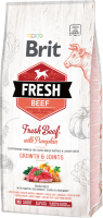 Сухой корм Care Brit Fresh Puppy Large для щенков и молодых собак больших пород с говядиной и тыквой