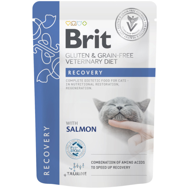 Влажный корм VetDiets Brit Grain Free Recovery для кошек со вкусом лосося
