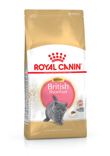 Сухий корм Royal Canin Польща British Shorthair Kitten для кошенят породи британська короткошерста