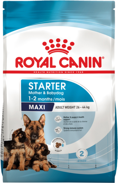 Сухий корм Royal Canin Польща Starter Mother & Babydog Maxi для вагітних/годуючих собак та цуценят до 2 місяців великих порід