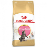 Сухой корм Royal Canin Польша Maine Coon Kitten для котят породы мейн-кун