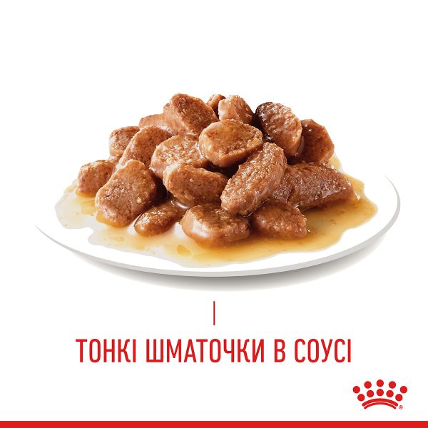 Влажный корм Royal Canin Польша Appetite Control для контроля аппетита кошек
