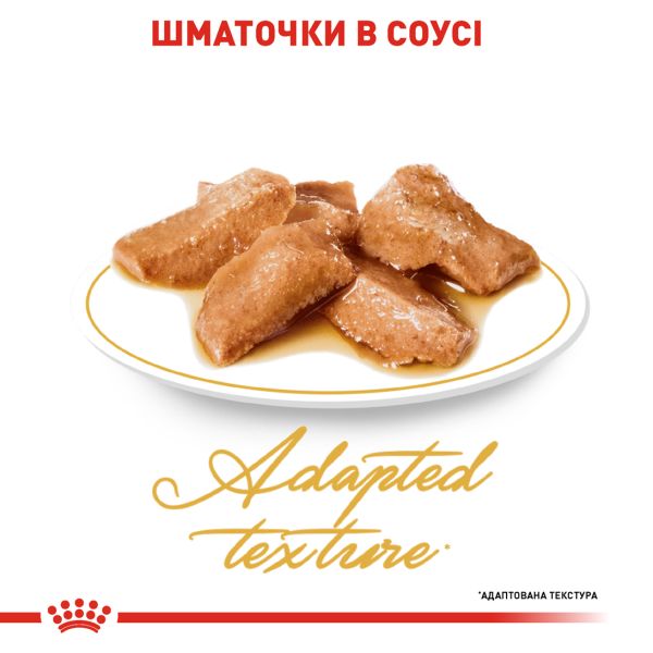 Влажный корм Royal Canin Польша Maine Coon для кошек породы мейн-кун