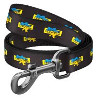 WAUDOG Украина Поводок для собак из нейлона Nylon, рисунок "Дом" (122 см)