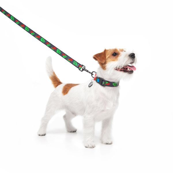 WAUDOG Украина Ошейник для собак нейлоновый Nylon с QR паспортом, рисунок "Калина", пластиковый фастекс