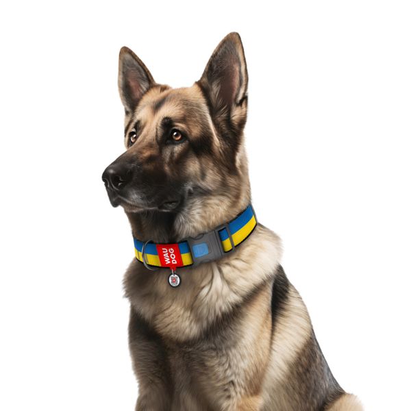 WAUDOG Украина Ошейник для собак нейлоновый Nylon с QR паспортом, рисунок "Colors of freedom", пластиковый фастекс