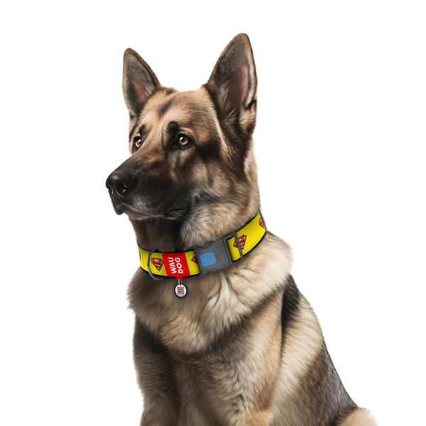 WAUDOG Украина Ошейник для собак нейлоновый Nylon с QR паспортом, рисунок "Супермен 2", пластиковый фастекс