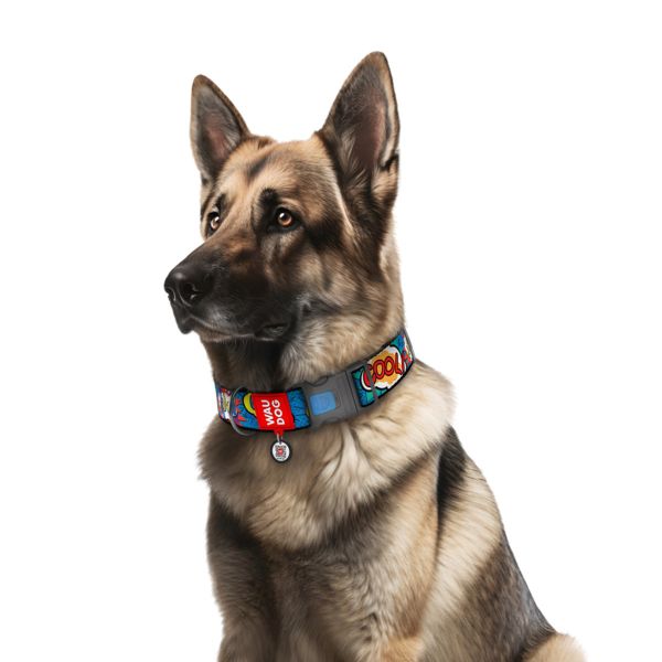 WAUDOG Украина Ошейник для собак нейлоновый Nylon с QR паспортом, рисунок "ВАУ", пластиковый фастекс