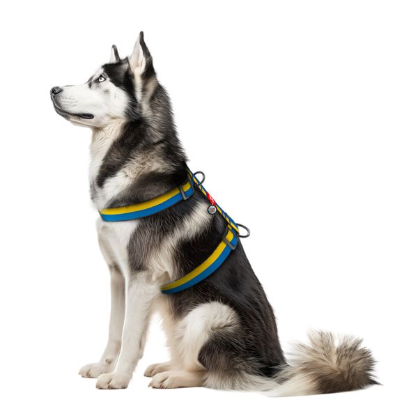 WAUDOG Украина Шлей для собак анатомический H-образный Nylon с QR-паспортом, рисунок "Colors of freedom", пластиковый фастекс