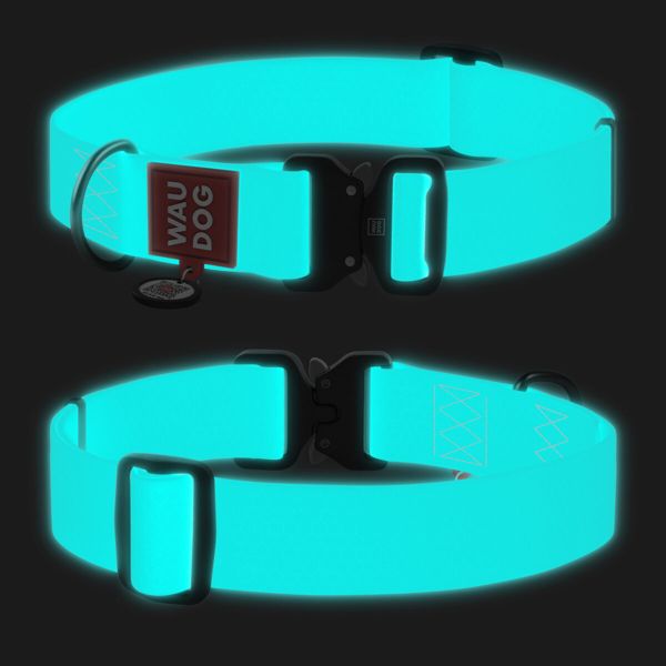 WAUDOG Украина Ошейник для собак водостойкий Waterproof с QR-паспортом, светящийся в темноте, металлическая пряжка-фастекс