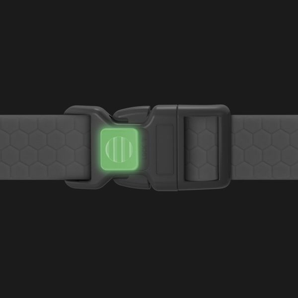 WAUDOG Украина Ошейник для собак водостойкий Waterproof с QR паспортом, пластиковый фастекс, черный