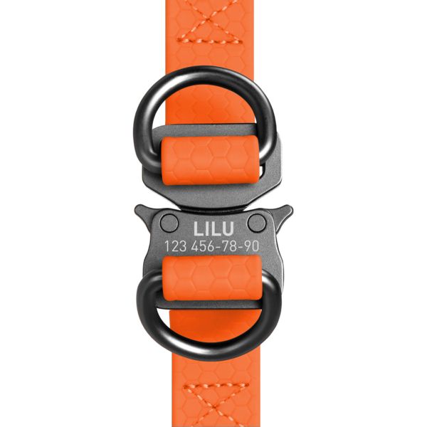 WAUDOG Украина Шлей для собак водостойкий Waterproof, c QR паспортом, металлическая пряжка-фастекс, оранжевый