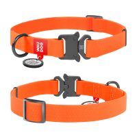 WAUDOG Украина Ошейник для собак водостойкий Waterproof c QR паспортом, металлическая пряжка-фастекс, оранжевый