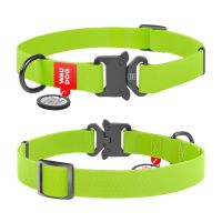 WAUDOG Украина Ошейник для собак водостойкий Waterproof c QR паспортом, металлическая пряжка-фастекс, салатовый