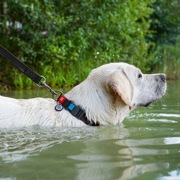 WAUDOG Украина Ошейник для собак водостойкий Waterproof c QR паспортом, пластиковая пряжка-фастекс, черный