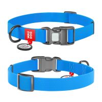 WAUDOG Украина Ошейник для собак водостойкий Waterproof c QR паспортом, пластиковая пряжка-фастекс, голубой