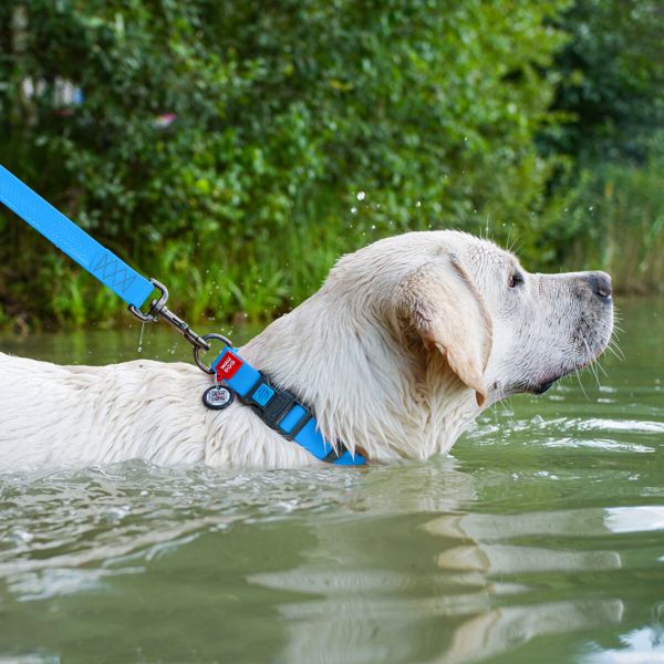 WAUDOG Украина Ошейник для собак водостойкий Waterproof c QR паспортом, пластиковая пряжка-фастекс, голубой