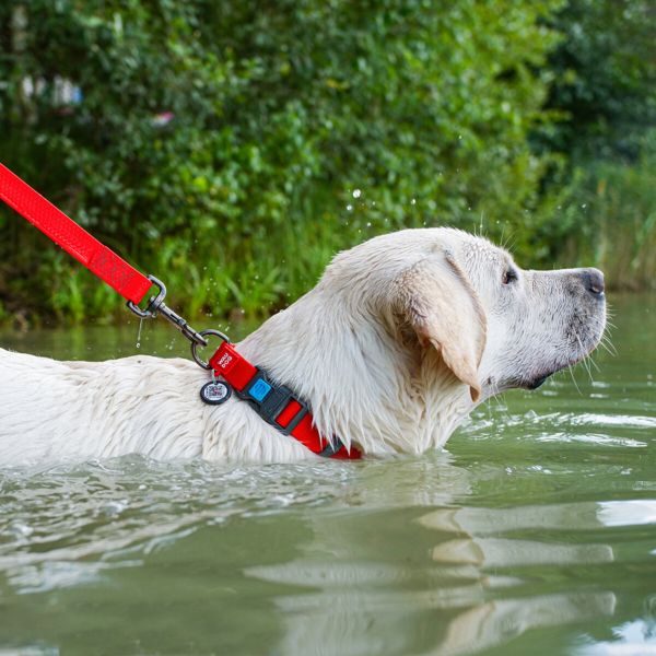 WAUDOG Украина Ошейник для собак водостойкий Waterproof c QR паспортом, пластиковая пряжка-фастекс, красный