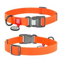 WAUDOG Украина Ошейник для собак водостойкий Waterproof c QR паспортом, пластиковая пряжка-фастекс, оранжевый