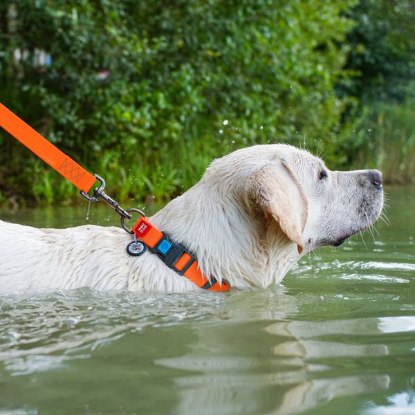 WAUDOG Украина Ошейник для собак водостойкий Waterproof c QR паспортом, пластиковая пряжка-фастекс, оранжевый