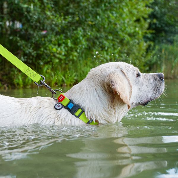 WAUDOG Украина Ошейник для собак водостойкий Waterproof c QR паспортом, пластиковая пряжка-фастекс, салатовый