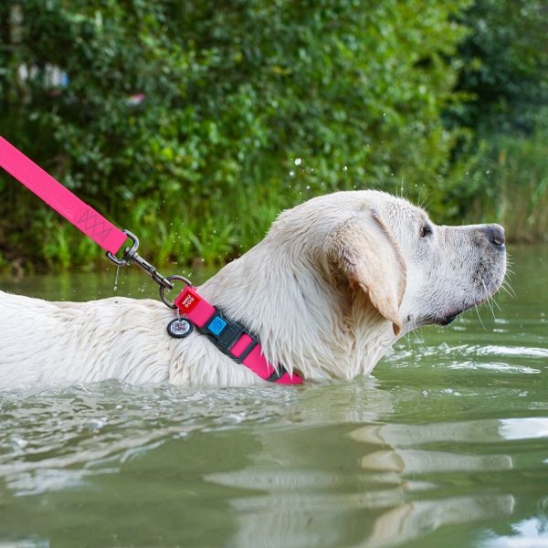WAUDOG Украина Ошейник для собак водостойкий Waterproof c QR паспортом, пластиковая пряжка-фастекс, розовый