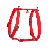 WAUDOG Украина Шлей для собак водостойкая анатомическая Н-образная Waterproof с QR-паспортом, пластиковая пряжка-фастекс, красный