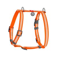 WAUDOG Украина Шлей для собак водостойкая анатомическая Н-образная Waterproof с QR-паспортом, светоотражающая, пластиковая пряжка-фастекс, оранжевый