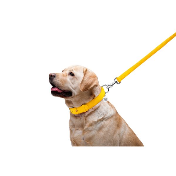 WAUDOG Украина Поводок для собак кожаный Glamour, желтый (122 см)