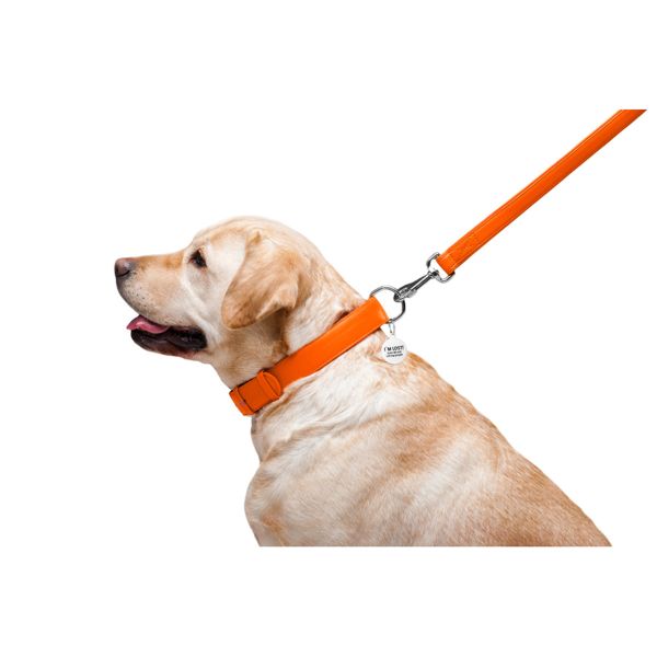 WAUDOG Украина Поводок для собак кожаный Glamour, оранжевый (122 см)