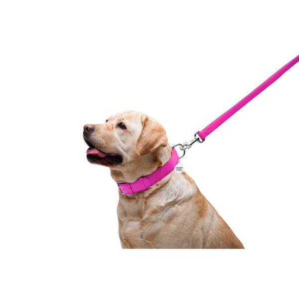 WAUDOG Украина Поводок для собак кожаный Glamour, розовый (122 см)