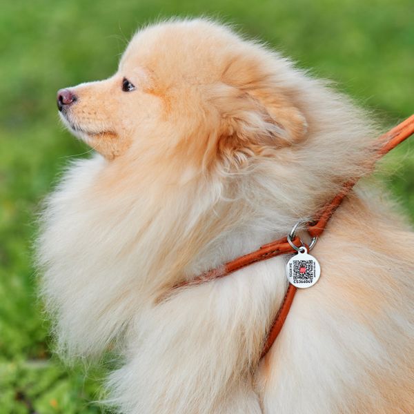 WAUDOG Украина Шлей с поводком для собак кожаный Soft с QR паспортом, круглый, коричневый