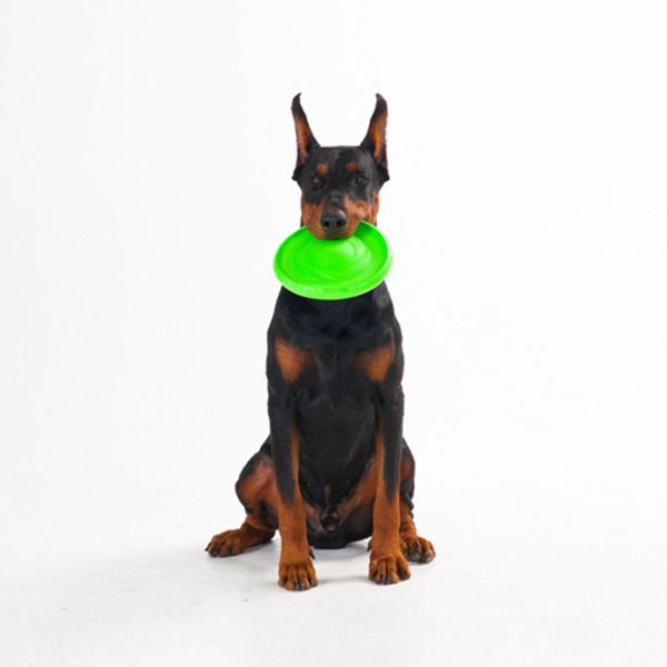 Collar Украина Летающая тарелка Flyber, салатовый