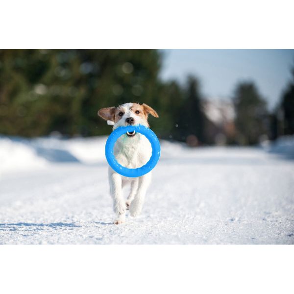 Collar Украина Кольцо для апортировки PitchDog, голубой