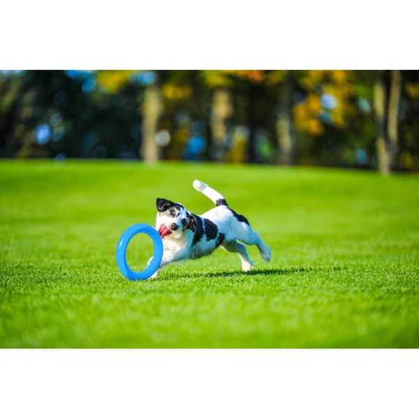 Collar Украина Кольцо для апортировки PitchDog, голубой