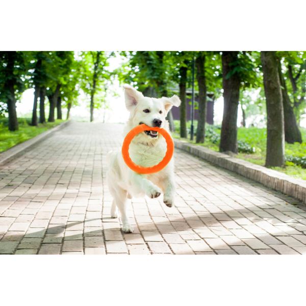 Collar Украина Кольцо для апортировки PitchDog, оранжевый