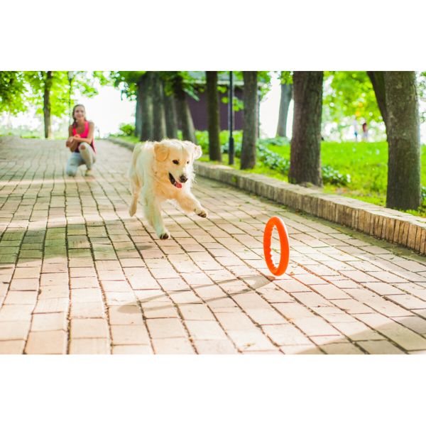 Collar Украина Кольцо для апортировки PitchDog, оранжевый