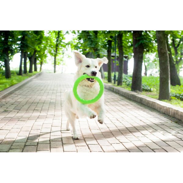 Collar Украина Кольцо для апортировки PitchDog, салатовый