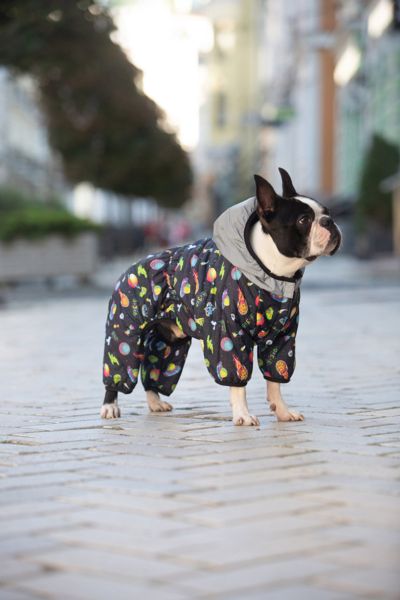 WAUDOG Украина Комбинезон для собак Clothes рисунок "Год и Морти 2"