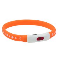AnimAll Китай LED оранжевый с подзарядкой USB