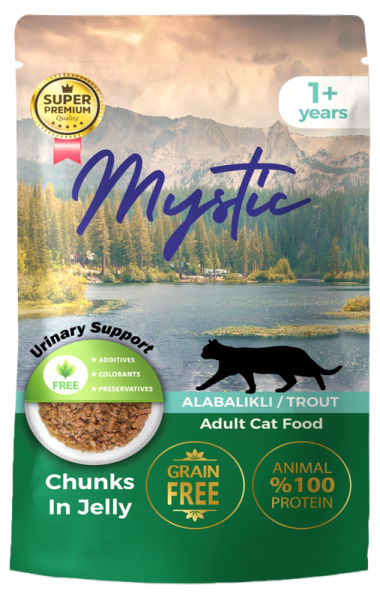 Вологий корм Mystic Туреччина пауч для котів шматочки форелі в желе