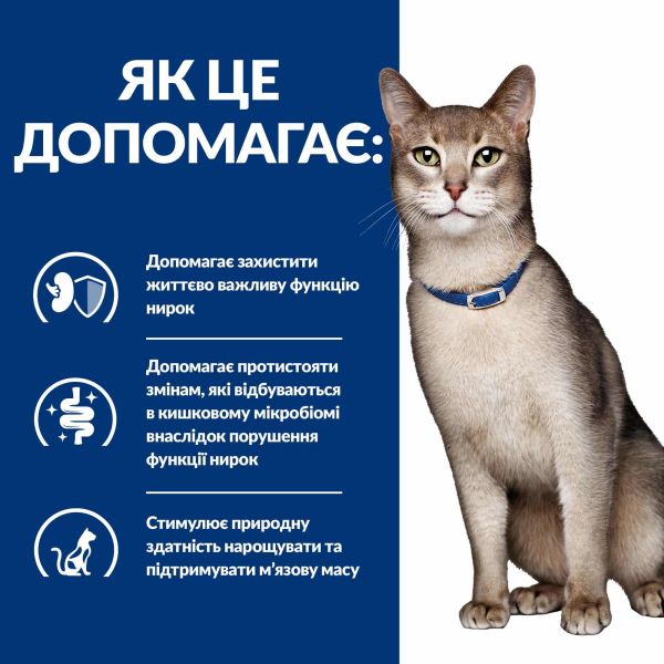 Сухой корм Hill's для кошек поддержание функции почек с курицей