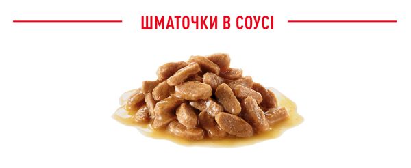 Влажный корм Royal Canin Польша Puppy Mini для щенков малых пород