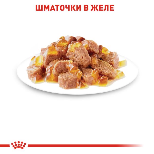 Влажный корм Royal Canin Польша Instinctive для кошек в желе