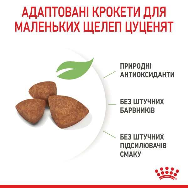 Сухой корм Royal Canin Польша Puppy X-Small для щенков миниатюрных пород от 2 до 10 месяцев