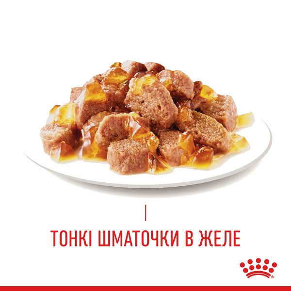 Влажный корм Royal Canin Польша Hair & Skin Care для кошек для здоровья кожи и шерсти в желе